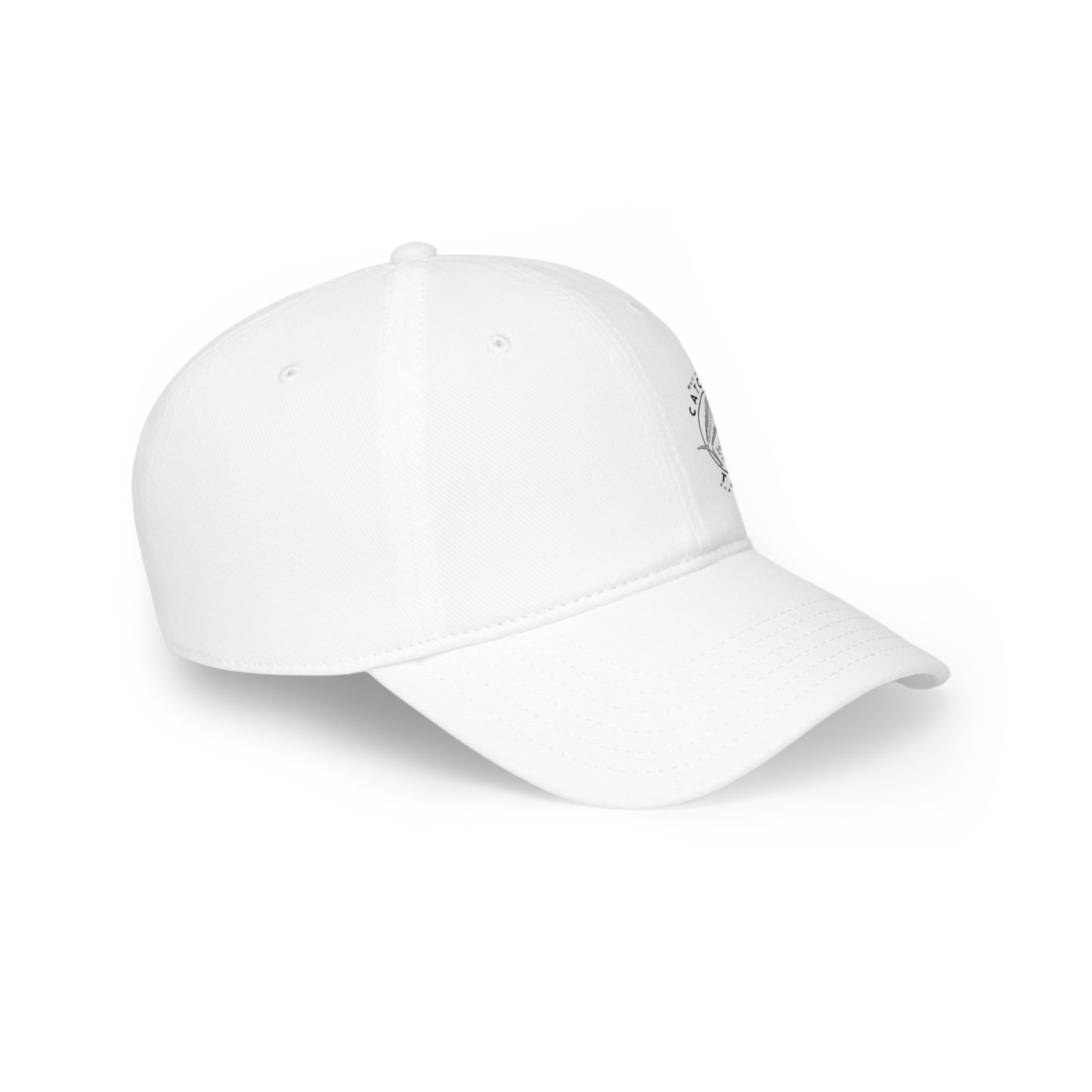 Catch of the Day  -  Low Profile Baseball Cap